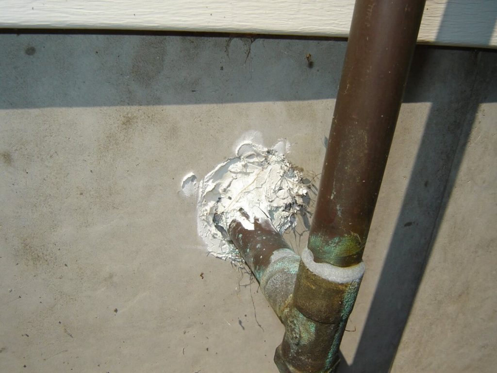 How to keep mice out of camper before they get in