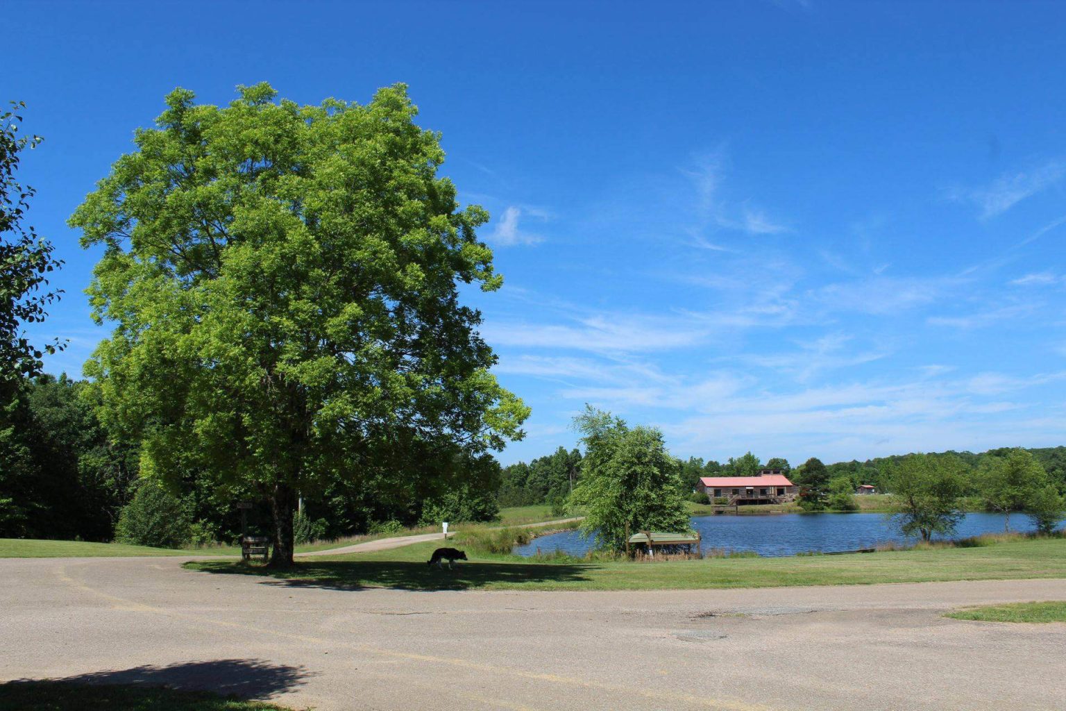 Exploring the 9 Best RV Parks Near Memphis TN