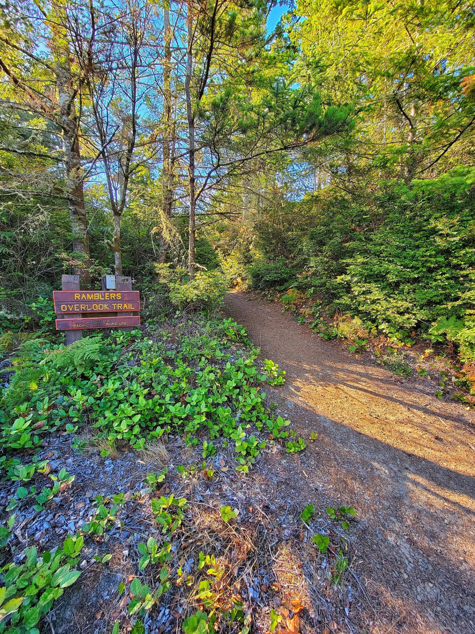 The Best 9 RV Parks Oregon Coast MustVisit Spots!